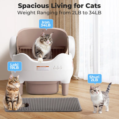 Transform Your Home into a Joyful, Odor-Free Haven